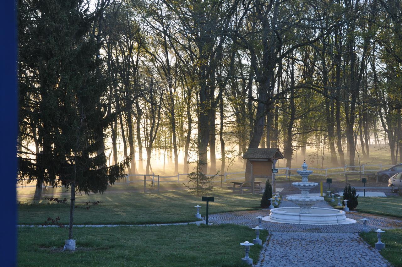 La Maison Du Lac Thionne Екстер'єр фото
